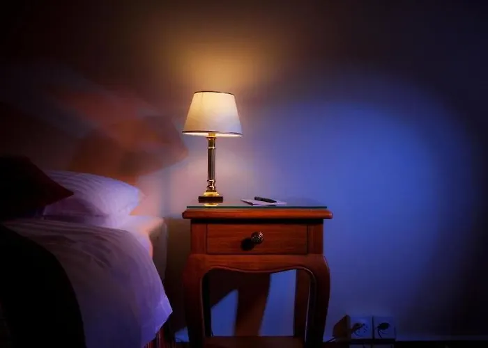 Otel De La Couronne Morges